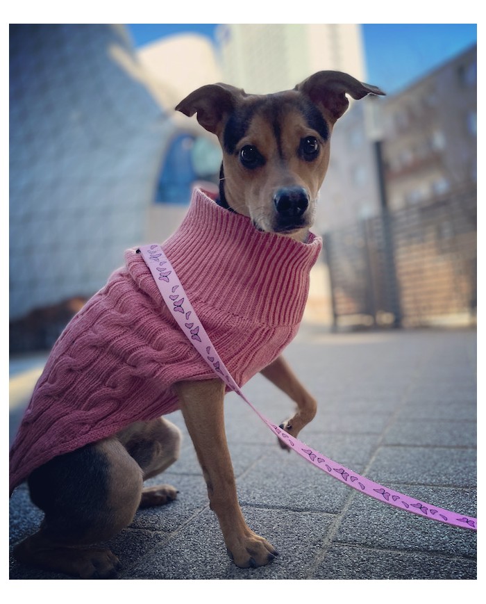 Sweterek dla psa ASPEN różowy | Bowl & Bone Republic | PETZWELCOME