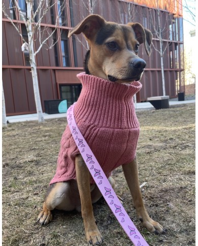 Dog sweater ASPEN pink | Bowl and Bone Republic | PETZWELCOME