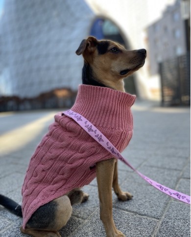 Dog sweater ASPEN pink | Bowl and Bone Republic | PETZWELCOME