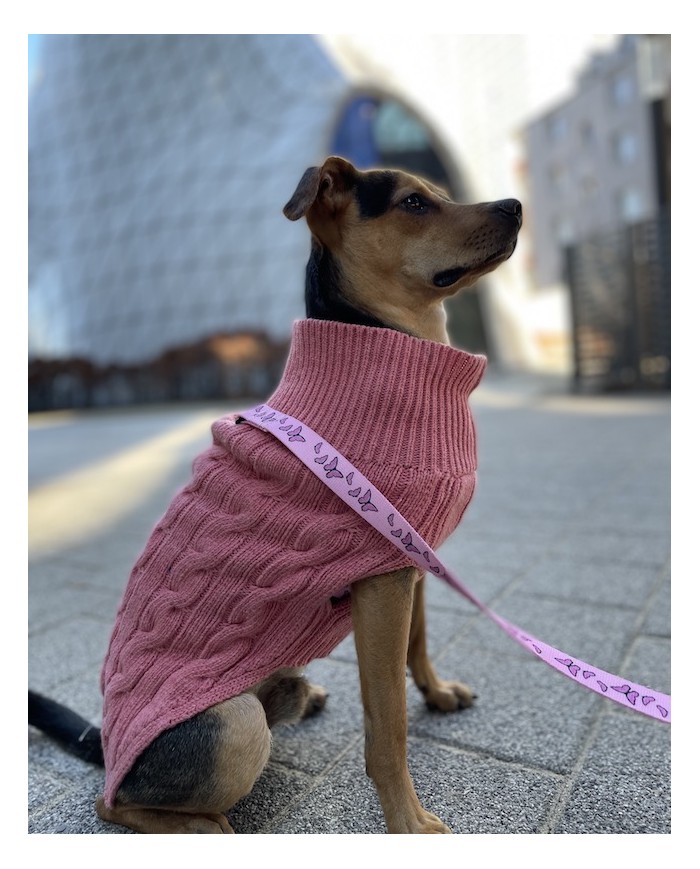 Dog sweater ASPEN pink | Bowl and Bone Republic | PETZWELCOME