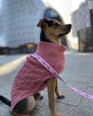 Dog sweater ASPEN pink | Bowl and Bone Republic | PETZWELCOME