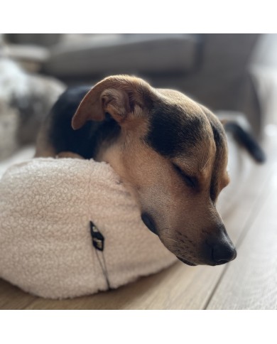 Cezar Sofa Bed for Dogs and Cats Cream Bouclé | PETZWELCOME