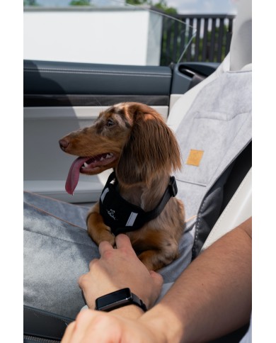 DOG CAR BOOSTER SEAT WATERPROOF GREY VELVET | Bebobi | PETZWELCOME