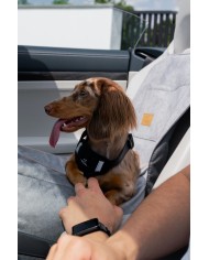 DOG CAR BOOSTER SEAT WATERPROOF GREY VELVET | Bebobi | PETZWELCOME