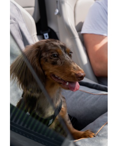 DOG CAR BOOSTER SEAT WATERPROOF GREY VELVET | Bebobi | PETZWELCOME