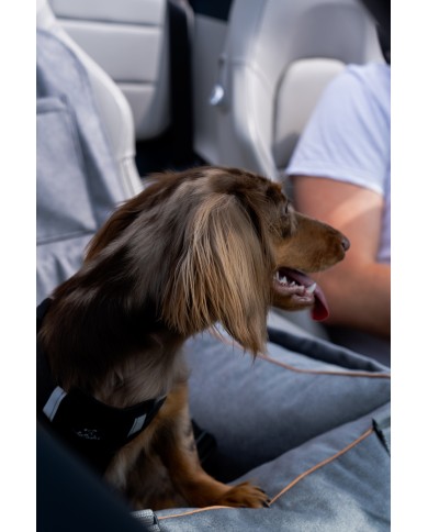 DOG CAR BOOSTER SEAT WATERPROOF GREY VELVET | Bebobi | PETZWELCOME