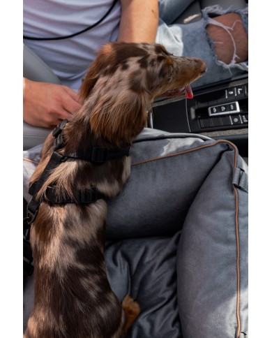DOG CAR BOOSTER SEAT WATERPROOF GREY VELVET | Bebobi | PETZWELCOME