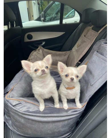 DOG CAR BOOSTER SEAT WATERPROOF GREY VELVET | Bebobi | PETZWELCOME