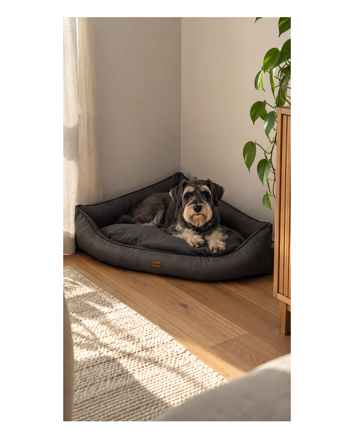 LARS corner bed for dog graphite| PETZWELCOME