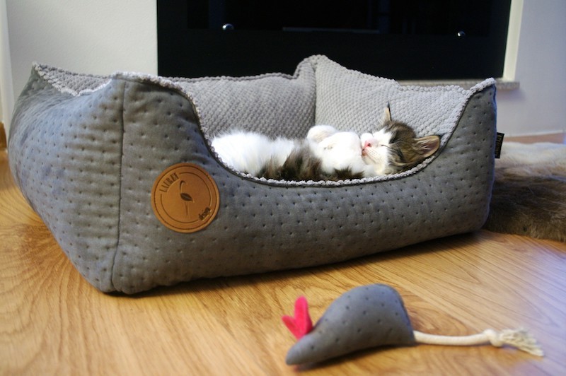 Kanapa Cezar Cezar Premium szara