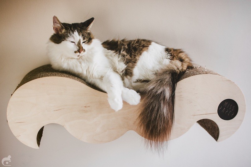 Drapak dla kota na ścianę Wąsy Miss Paper