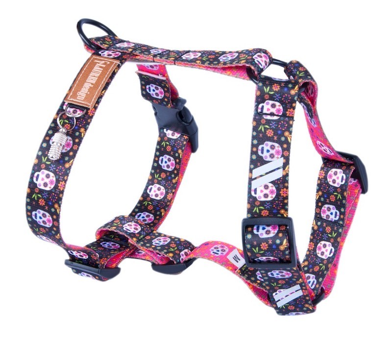 Szelki dla psa typu Guard scary