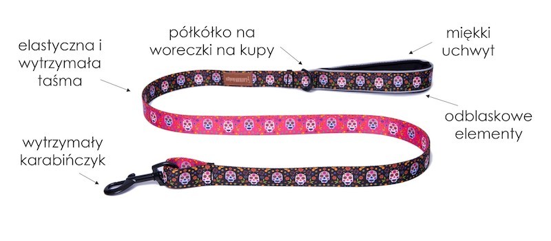 Smycz miejska dla psa scary