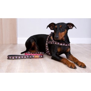 Smycz miejska dla psa scary