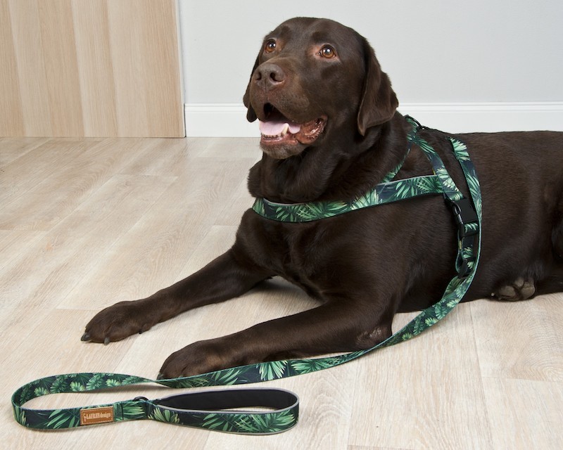 Smycz miejska dla psa forest