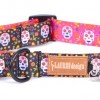 Collar for dog scary | Lauren design | PETZWELCOME