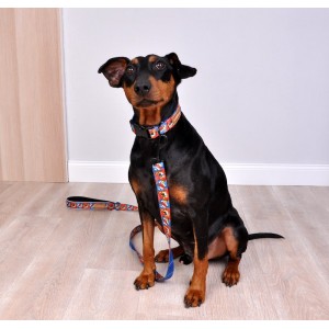 Klasyczne obroża dla psa comic book| Lauren design | PETZWELCOME