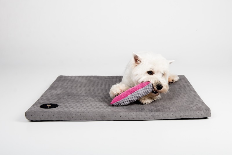 Materac dla psa DEMI ciemno szary | Lauren Design | PETZWELCOME