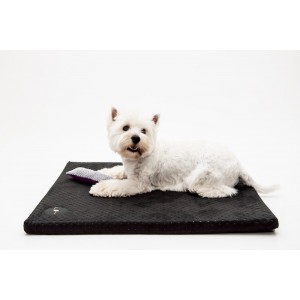 DEMI mattress - black| Lauren Design | PETZWELCOME