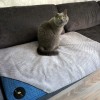 DANTE blanket for dog and cat - blue| Lauren Design | PETZWELCOME