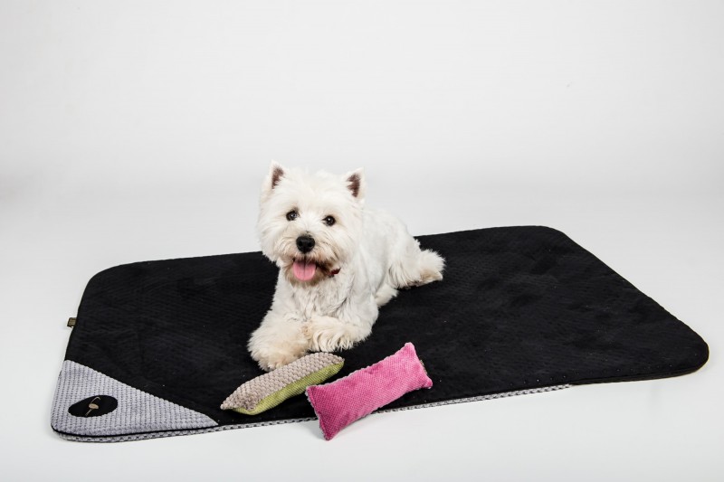 DANTE blanket for dog and cat - black| Lauren Design | PETZWELCOME