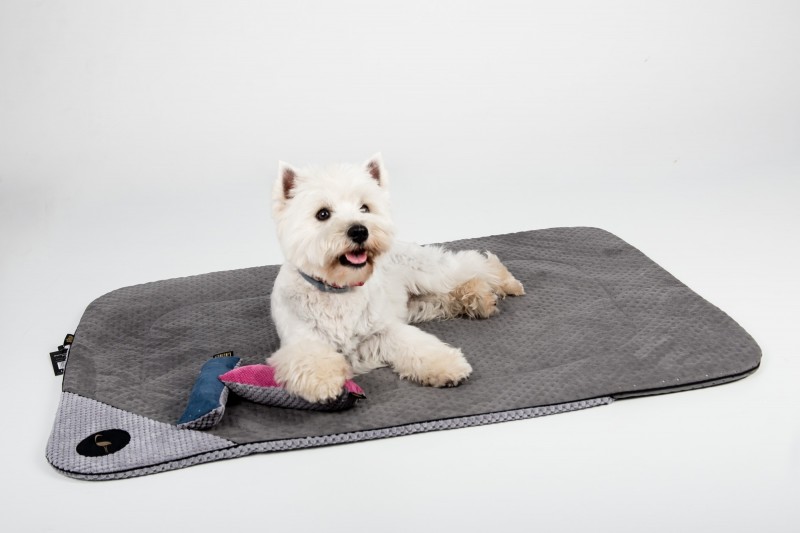 DANTE blanket for dog and cat - black| Lauren Design | PETZWELCOME