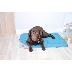 DANTE blanket for dog and cat - turquoise| Lauren Design | PETZWELCOME