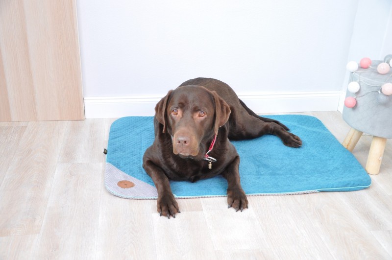 Kocyk dla psa i kota DANTE - turkusowy | Lauren Design | PETZWELCOME