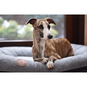 Legowisko dla psa PONTON RICO - szare | Lauren Design | PETZWELCOME