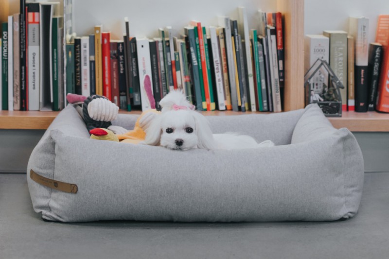 Legowisko dla psa LOFT gray | Bowl and Bone Republic | PETZWELCOME