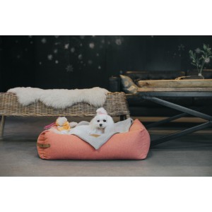 Dog bed LOFT graphite | Bowl and Bone Republic | PETZWELCOME