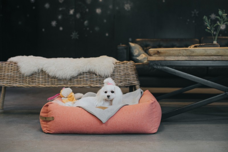 Dog bed LOFT graphite | Bowl and Bone Republic | PETZWELCOME