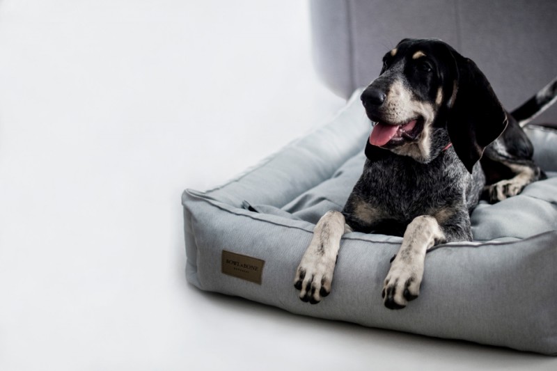 Dog bed URBAN navy| Bowl and Bone Republic | PETZWELCOME