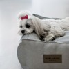Dog bed URBAN navy| Bowl and Bone Republic | PETZWELCOME