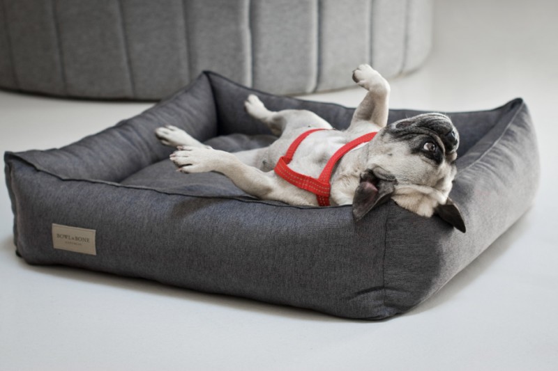 Dog bed URBAN brown| Bowl and Bone Republic | PETZWELCOME