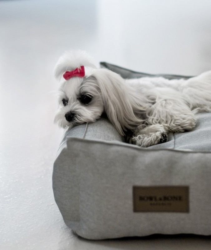 Dog bed URBAN brown| Bowl and Bone Republic | PETZWELCOME