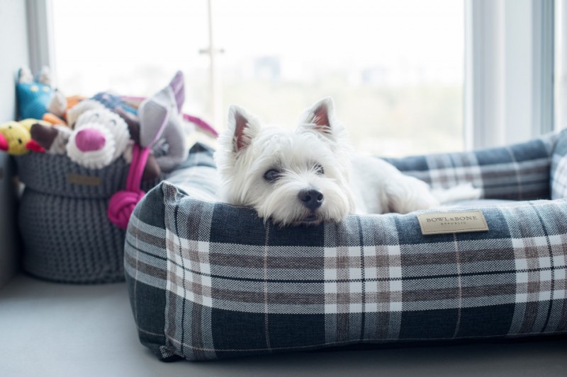 Dog bed SCOTT gray | Bowl and Bone Republic | PETZWELCOME