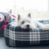 Dog bed SCOTT brown | Bowl and Bone Republic | PETZWELCOME