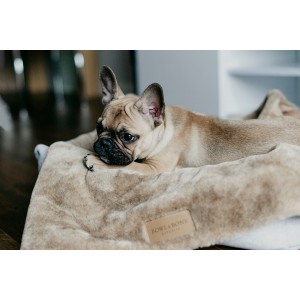 Kocyk dla psa NAP gray | Bowl and Bone Republic | PETZWELCOME