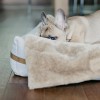 Blanket for dog NAP gray | Bowl and Bone Republic | PETZWELCOME