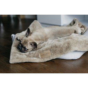 Kocyk dla psa NAP gray | Bowl and Bone Republic | PETZWELCOME