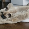 Blanket for dog NAP gray | Bowl and Bone Republic | PETZWELCOME