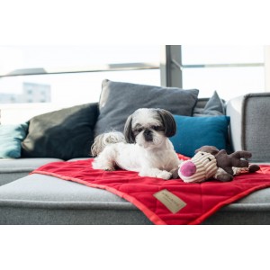 Blanket for dog ROYAL | Bowl and Bone Republic | PETZWELCOME