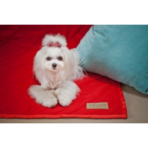 Blanket for dog ROYAL | Bowl and Bone Republic | PETZWELCOME