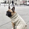Dog sweater ASPEN ecru | Bowl and Bone Republic | PETZWELCOME