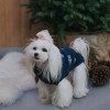 Dog sweater SNOWFLAKES | Bowl and Bone Republic | PETZWELCOME
