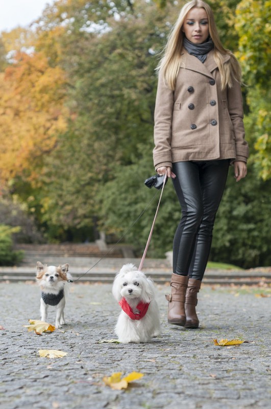 Dog jacket SPIRIT red | Bowl and Bone Republic | PETZWELCOME