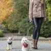 Dog jacket SPIRIT red | Bowl and Bone Republic | PETZWELCOME
