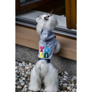 Dog hoodie LOVE gray | Bowl and Bone Republic | PETZWELCOME
