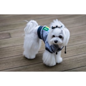 Dog hoodie LOVE gray | Bowl and Bone Republic | PETZWELCOME